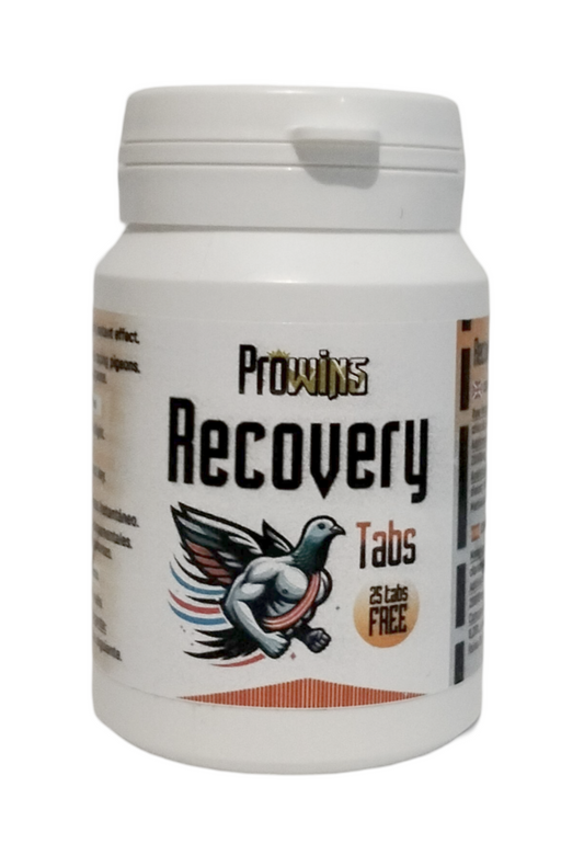 PROWINS RECOVERY CAPS