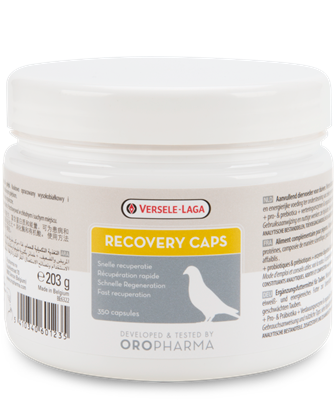 RECOVERY CAPS VERSELE LAGA 350caps